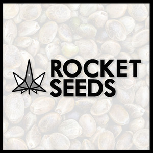 Marijuana Seed Banks - Rocket Seeds - BND