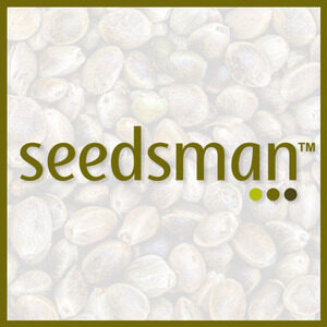Marijuana Seed Banks - Seedsman - BND