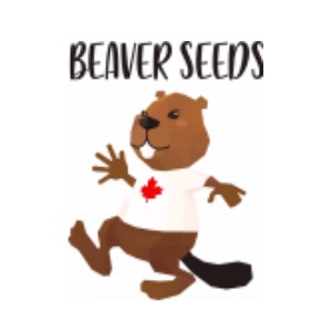 Best Weed Seed Banks - Beaver Seeds - SanLuisObispo