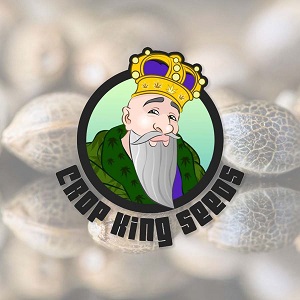 Buy Marijuana Seeds - CKS - Sacbee