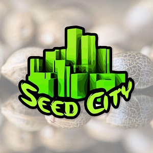 Marijuana Seeds for Sale - SeedCity - Sacbee