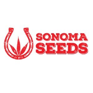 Buy Cannabis Seeds for Sale - Sonoma Seeds - SanLuisObispo