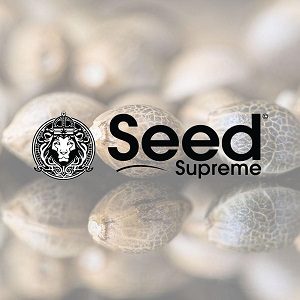 Seed Supreme Review - Sacbee