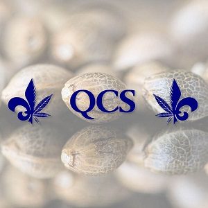 Best Weed Seed Banks - QCS- Sacbee