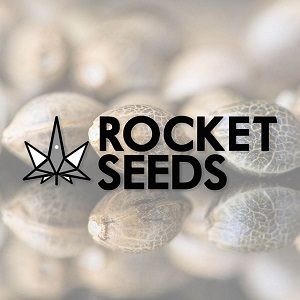 Best Weed Seed Banks - Rocket Seeds - Sacbee