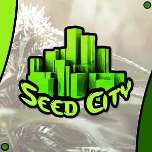seed city- modbee