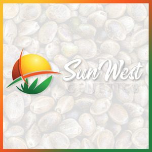 marijuana seed banks - sunwestgenetics - bnd