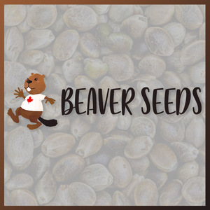 beaver seeds - bnd