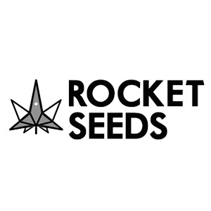 Best Marijuana Seed Banks - Rocket Seeds - SanLuisObispo