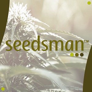 Best Autoflower Seed Banks - Seedsman - Modbee