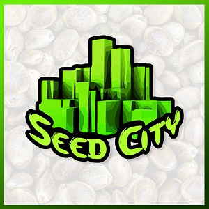 Best Cannabis Seed Banks - Seed City - Bnd