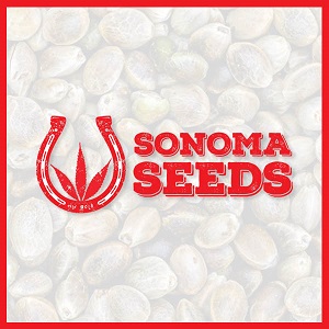 Best Cannabis Seed Banks - Sonoma Seeds - Bnd