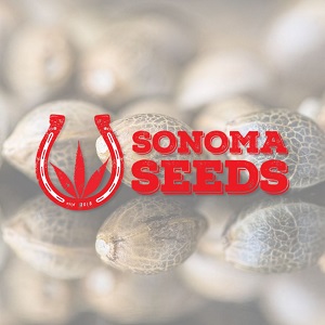 Best Cannabis Seed Banks - Sonoma Seeds - Sacbee