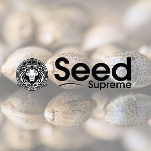 Best Weed Seed Banks - Seed Supreme - Sacbee