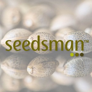 Buy Marijuana Seeds - Seedsman - Sacbee