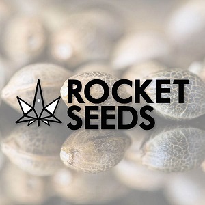 Best Seed Banks USA - RocketSeeds - Sacbee