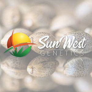 Best Seed Banks USA - SunWestGenetics- Sacbee