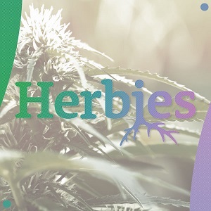 ILGM Review - Herbies Seeds - Modbee