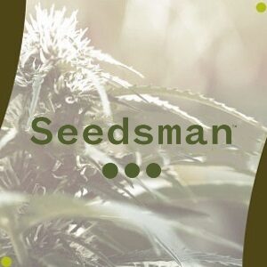 ILGM Review - Seedsman - Modbee